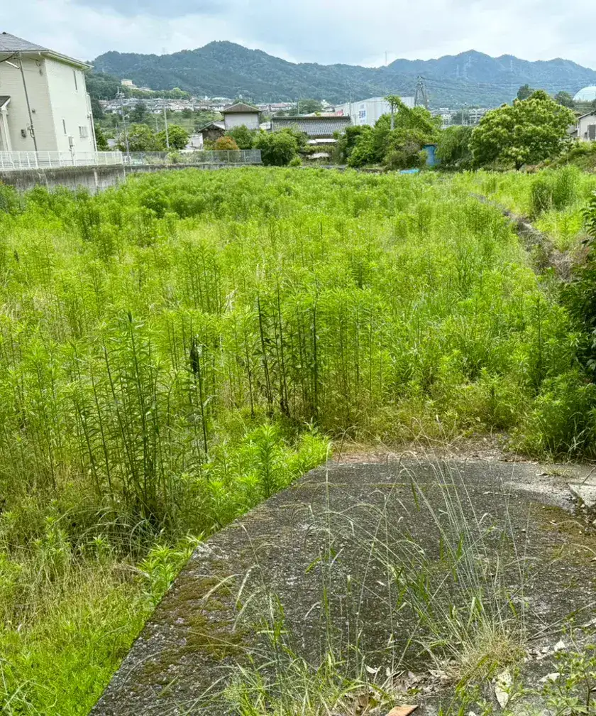お客様のイメージ写真